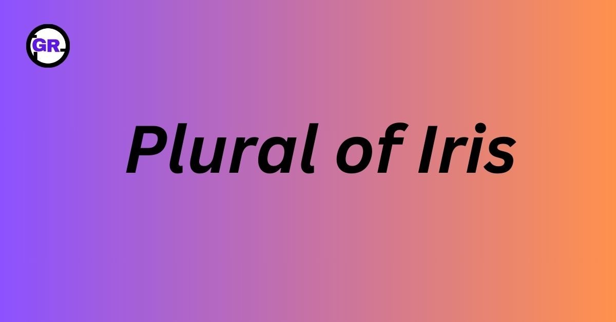 Plural of Iris